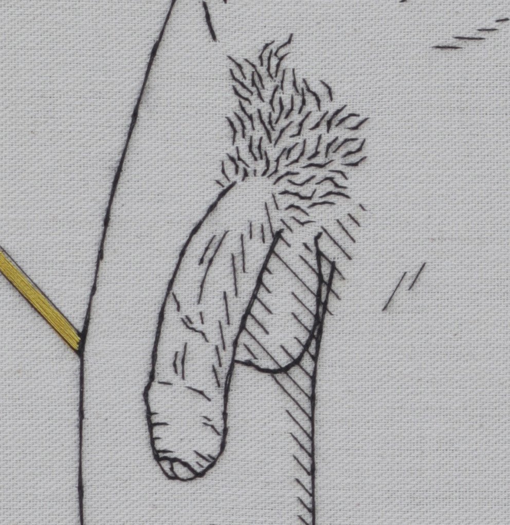 Detalhe de «Orgulho e Preconceito» (2024), Rod RAS